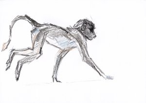 Babuíno, 2020 (crayon no papel) de David Mayer