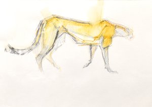 Cheetah, 2020 (Giz de cera no papel)