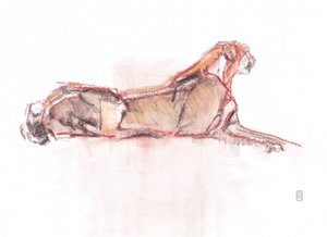 Cheetah alert, 2019 (crayon/watercolour sobre papel) de David Mayer