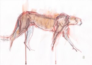 Caça às chitas, 2019 (crayon/watercolour sobre papel) de David Mayer