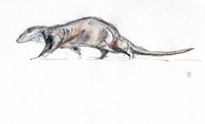 Otter running, 2022 (aquarela/crayon sobre papel)