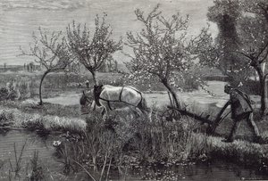 &39;Uma pequena fazenda bem cultivada&39;, Picardia, de &39;Leisure Hour&39;, 1888 de David Murray