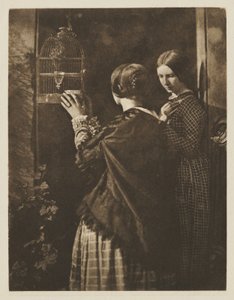 A gaiola de pássaros de David Octavius Hill