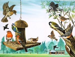 Todos os tipos de pássaros à volta da mesa do jardim, ilustração de "Era uma vez