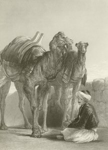 Um grupo de camelos em Smyrna de David Wilkie