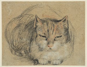 Gato, estudo para "O dedo cortado" (reto), c.1809 (giz preto, vermelho e branco, giz preto e branco sobre papel vegetal) de David Wilkie