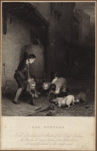 Caçadores de ratos de David Wilkie