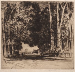 A Avenida