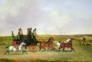 Cavalo e carruagem