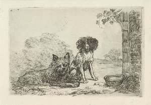 Dois cães de David van der Kellen
