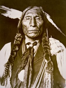 Manto de Lobo (nascido em 1841) 1909 (foto em preto e branco) de DeLancey W. Gill
