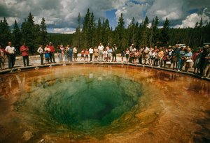 Os visitantes do parque reúnem-se à volta de uma piscina termal azul-esverdeada em forma de flor. O Parque Nacional de Yellowstone...