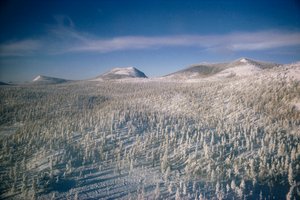 Paisagem de inverno na Sibéria sobre pântanos e florestas cobertas de neve

