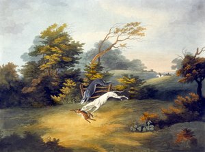 Coursing, placa 4, gravada por R.G. Reeve