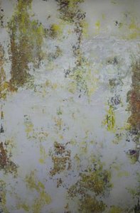 Resumo de «Terra em Perigo» de Deb Chaney