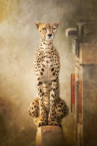 Retrato Majestoso de uma Chita de Debbie Lefever