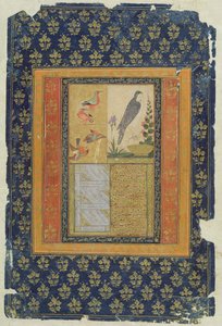 Estudo de aves e caligrafia, Golconda, Andhra Pradesh, 1570, (guache, tinta e ouro sobre papel com borda decorada)