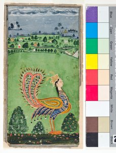 Pavão mítico com cabeça de mulher, c.1750 (opaco w - ce dourado no papel)