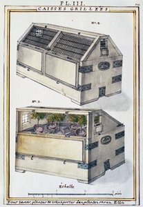Caixas de madeira para transportar plantas raras em navios da Delahaye, de Florindie ou Historie physico-economique des Vegetaux de la Torride de Delahaye Delahaye