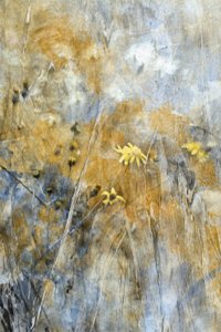 Flores do Prado (Abstrato) de Delphine Devos