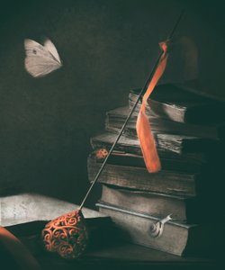 Borboleta «Dark Academia»