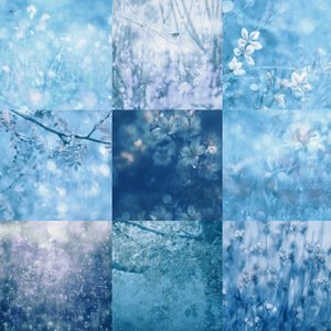 Botanicals Azul Sonhador de Delphine Devos