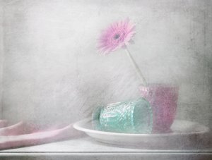  de Delphine Devos