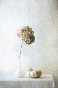  de Delphine Devos