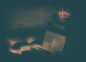 Livros de Estudo Encantados de Delphine Devos