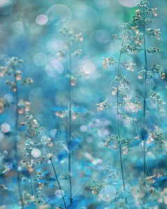 Flores azul-petróleo etéreas de Delphine Devos