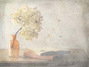 Natureza morta outonal desbotada de Delphine Devos