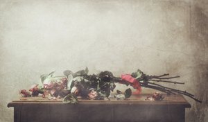 Natureza morta com rosas murchas de Delphine Devos