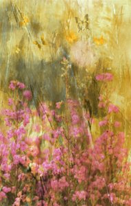 Borboletas de Golden Meadow de Delphine Devos