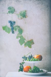 Natureza morta com frutos da colheita de Delphine Devos