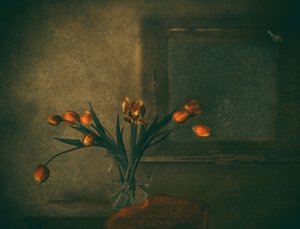 Tulipas Laranja Melancólicas de Delphine Devos