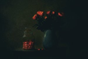 Flores Vermelhas Melancólicas
