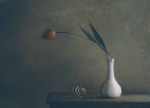 Natureza morta com tulipas melancólicas de Delphine Devos