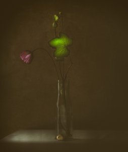 Flores e Folhas Serenas de Delphine Devos