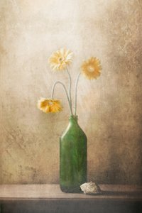 Flores Amarelas Silenciosas de Delphine Devos