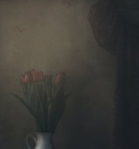 Tulipas em sombra e borboleta de Delphine Devos