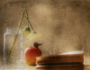 Caracol numa maçã num dia de chuva de Delphine Devos