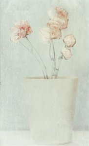 Flores com tons suaves e desbotados de Delphine Devos