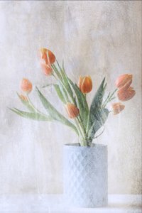  de Delphine Devos