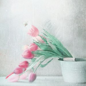  de Delphine Devos