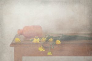 Natureza morta em amarelo suave de Delphine Devos