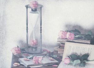 Rosas e livros intemporais de Delphine Devos