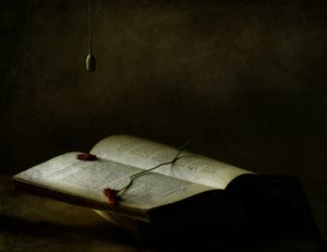 Livro vintage com rosas secas de Delphine Devos