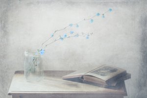 Livro antigo e flores azuis de Delphine Devos
