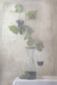 Natureza morta com uvas vintage e vinho de Delphine Devos
