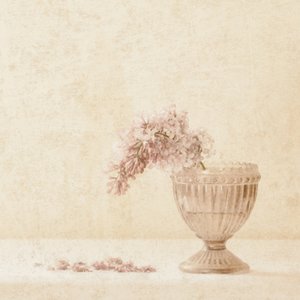  de Delphine Devos